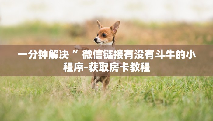 一分钟了解“微信平台金花房卡
”房卡详细使用教程 一分钟了解“微信平台金花房卡
”房卡详细使用教程