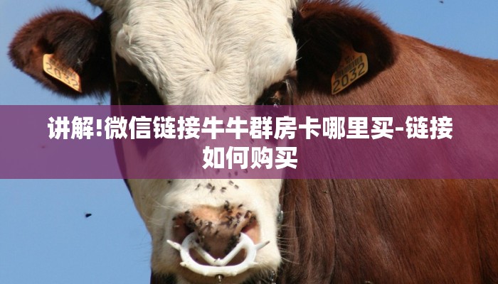 黑科技挂！wepoker透视辅助教程!原来有挂教程