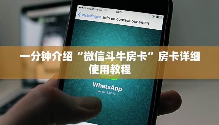 玩家攻略AAPoker德州一键透视购买! 实际有挂详细