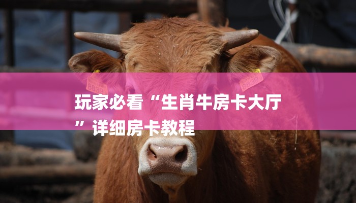 玩家必看“生肖牛房卡大厅
”详细房卡教程