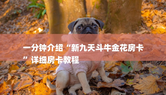 一分钟介绍“新九天斗牛金花房卡
”详细房卡教程