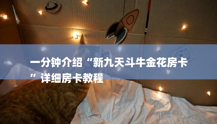 一分钟介绍“新九天斗牛金花房卡
”详细房卡教程