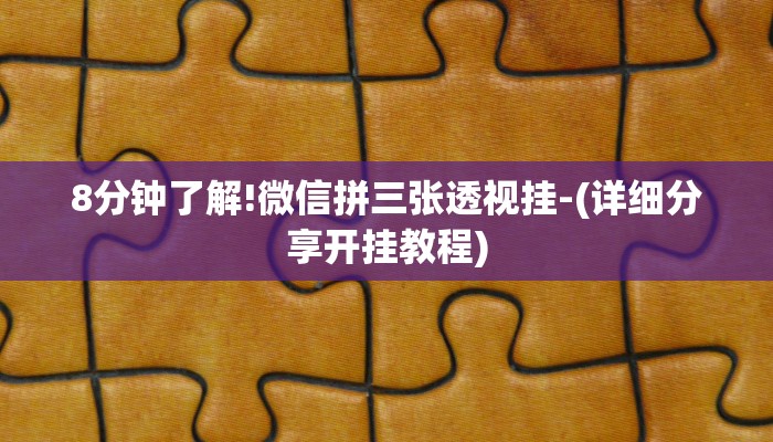 玩家知识德州wepoker透视辅助!揭秘开挂教程分享