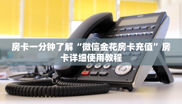 玩家必备教程“微信链接房卡在哪里充值”详细教程