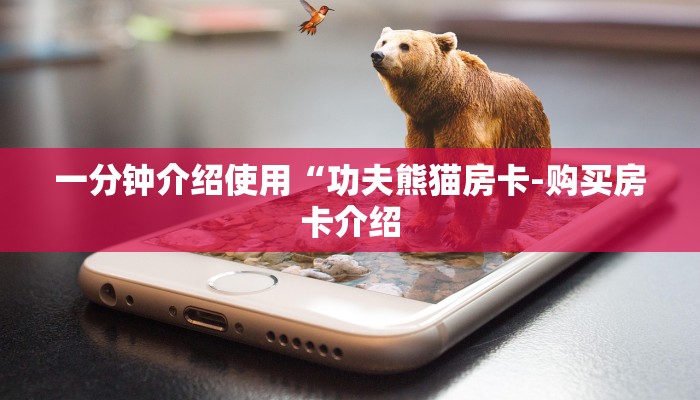 一分钟介绍使用“功夫熊猫房卡-购买房卡介绍