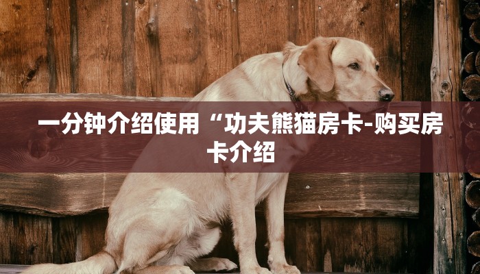 一分钟介绍使用“功夫熊猫房卡-购买房卡介绍 一分钟介绍使用“功夫熊猫房卡-购买房卡介绍