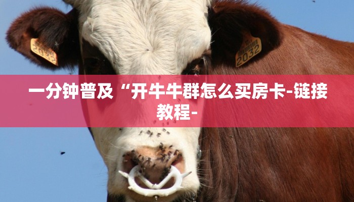 一分钟普及“开牛牛群怎么买房卡-链接教程-