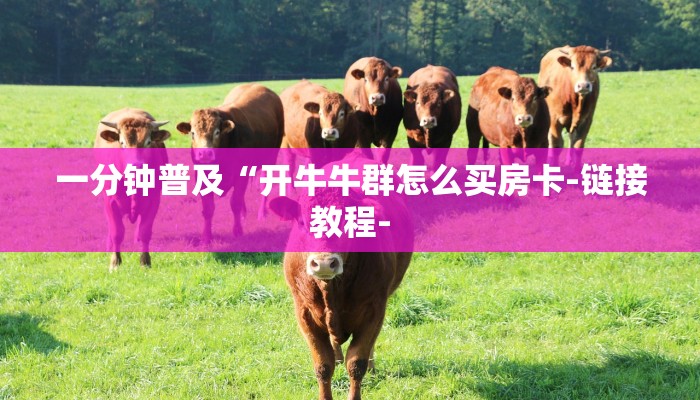 一分钟普及“开牛牛群怎么买房卡-链接教程- 一分钟普及“开牛牛群怎么买房卡-链接教程-