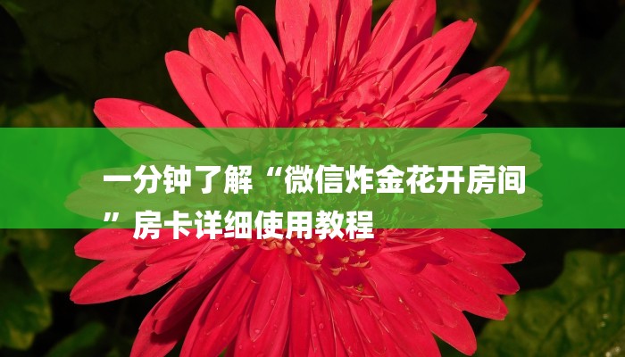 一分钟了解“微信炸金花开房间
”房卡详细使用教程 一分钟了解“微信炸金花开房间
”房卡详细使用教程