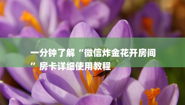 一分钟了解“微信炸金花开房间
”房卡详细使用教程 一分钟了解“微信炸金花开房间
”房卡详细使用教程