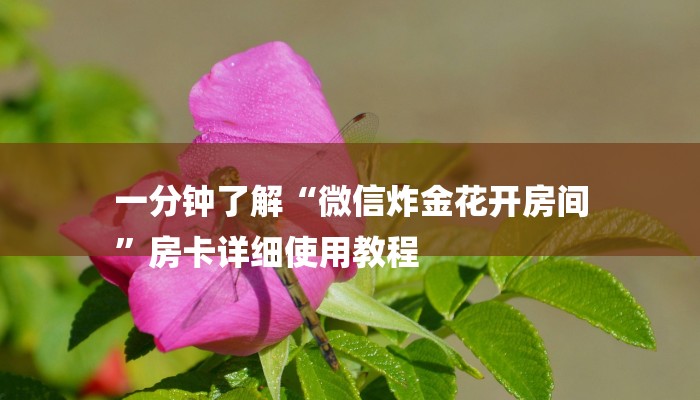 一分钟了解“微信炸金花开房间
”房卡详细使用教程 一分钟了解“微信炸金花开房间
”房卡详细使用教程