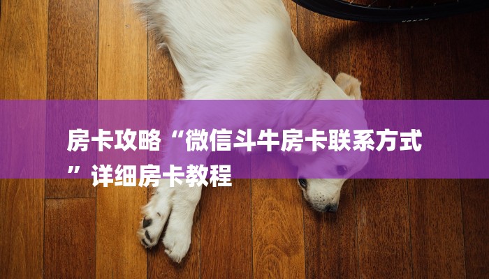 房卡攻略“微信斗牛房卡联系方式
”详细房卡教程 房卡攻略“微信斗牛房卡联系方式
”详细房卡教程