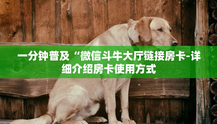 一分钟普及“微信斗牛大厅链接房卡-详细介绍房卡使用方式
