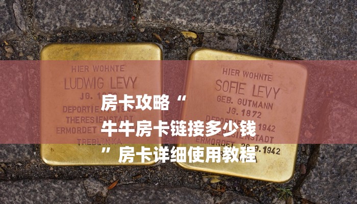 房卡攻略“
牛牛房卡链接多少钱
”房卡详细使用教程 房卡攻略“
牛牛房卡链接多少钱
”房卡详细使用教程