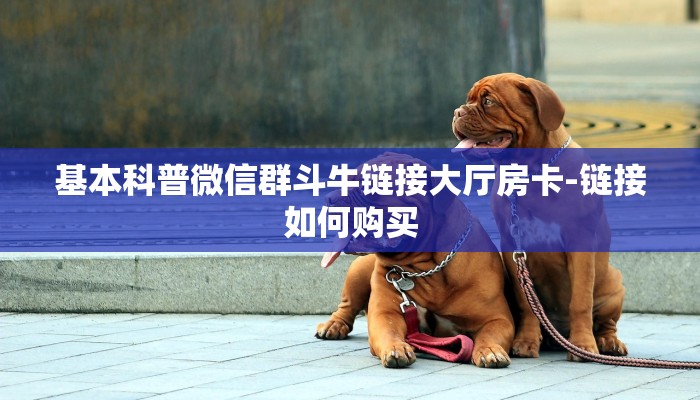 基本科普微信群斗牛链接大厅房卡-链接如何购买