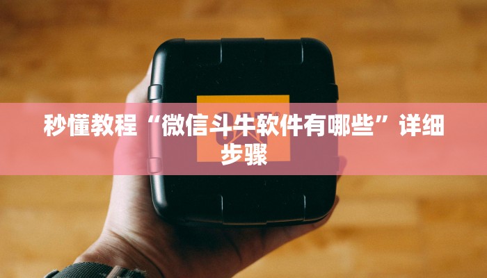 秒懂教程“微信斗牛软件有哪些”详细步骤