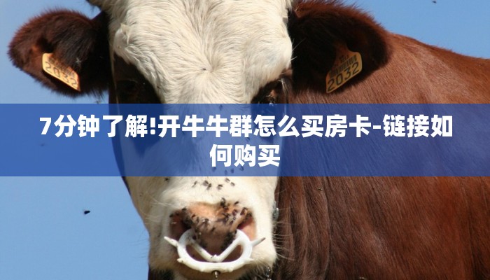 7分钟了解!开牛牛群怎么买房卡-链接如何购买