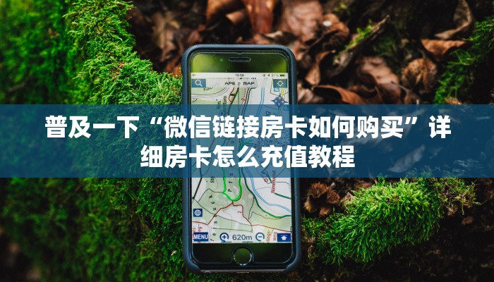 一分钟解决 ”道游房卡在哪里有卖-链接如何购买