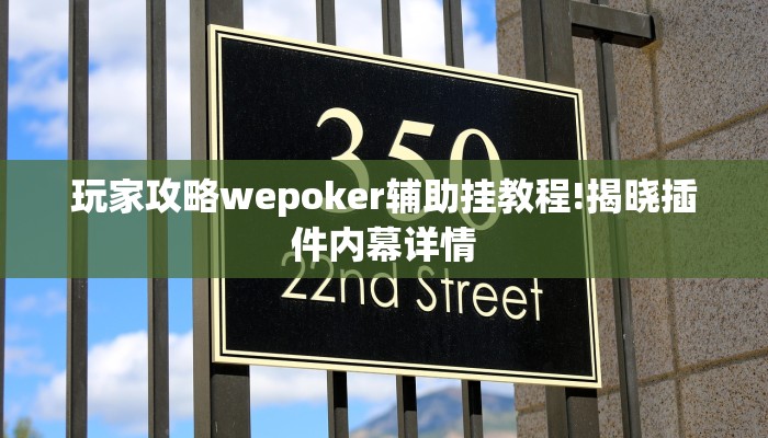 玩家攻略wepoker辅助挂教程!揭晓插件内幕详情