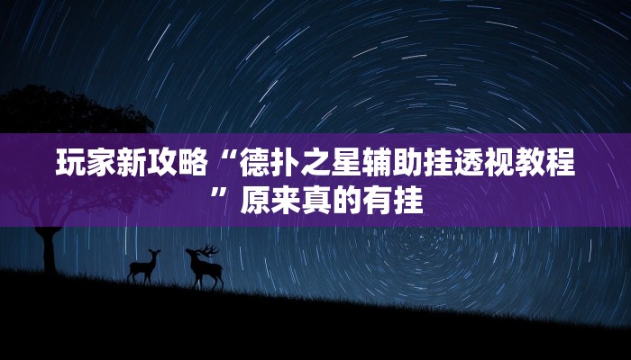 玩家新攻略“德扑之星辅助挂透视教程”原来真的有挂