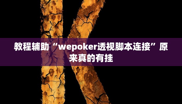 教程辅助“wepoker透视脚本连接”原来真的有挂