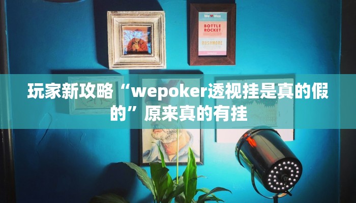 玩家新攻略“wepoker透视挂是真的假的”原来真的有挂
