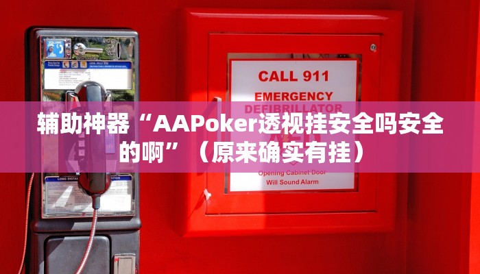 辅助神器“AAPoker透视挂安全吗安全的啊”（原来确实有挂）