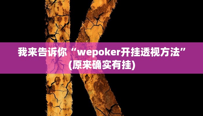 我来告诉你“wepoker开挂透视方法”(原来确实有挂)