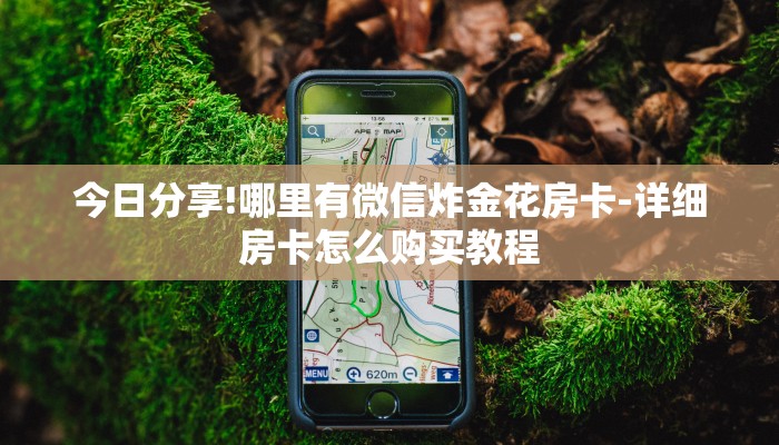 今日分享!哪里有微信炸金花房卡-详细房卡怎么购买教程