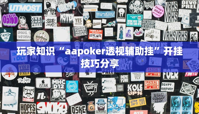 玩家知识“aapoker透视辅助挂”开挂技巧分享