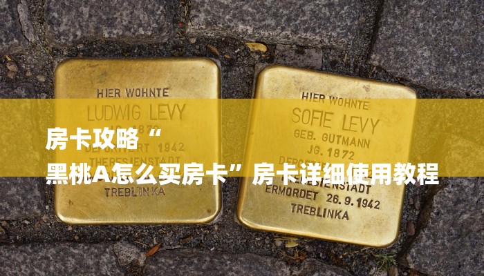 房卡攻略“
黑桃A怎么买房卡”房卡详细使用教程