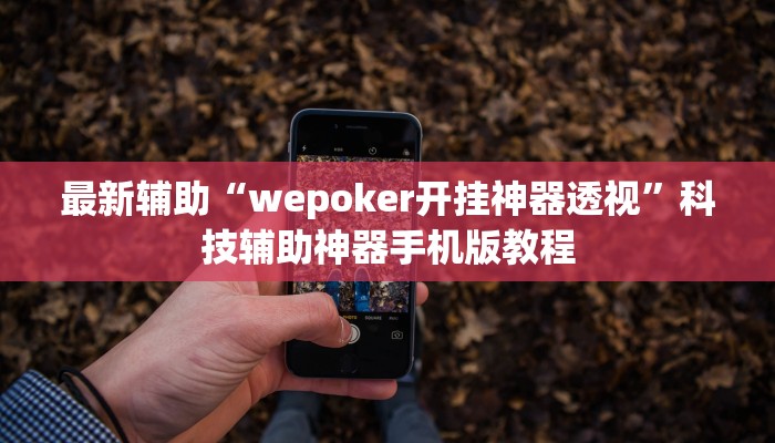 最新辅助“wepoker开挂神器透视”科技辅助神器手机版教程