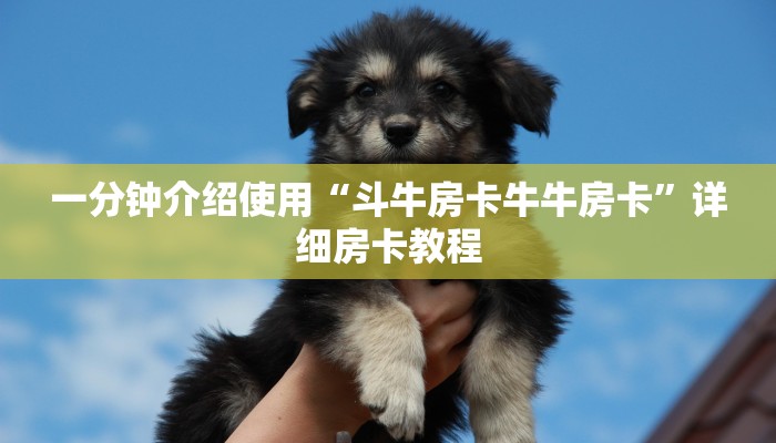 一分钟介绍使用“斗牛房卡牛牛房卡”详细房卡教程