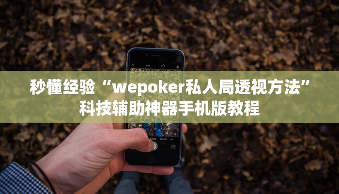 秒懂经验“wepoker私人局透视方法”科技辅助神器手机版教程