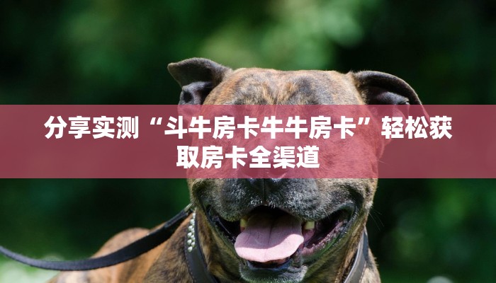 分享实测“斗牛房卡牛牛房卡”轻松获取房卡全渠道