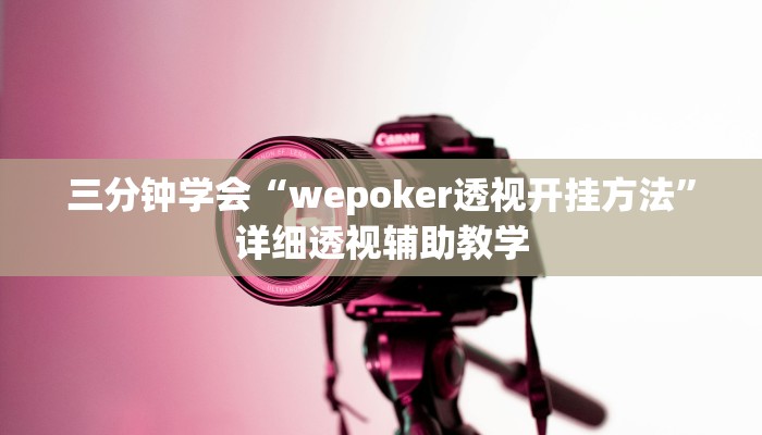 三分钟学会“wepoker透视开挂方法”详细透视辅助教学