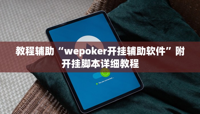 教程辅助“wepoker开挂辅助软件”附开挂脚本详细教程