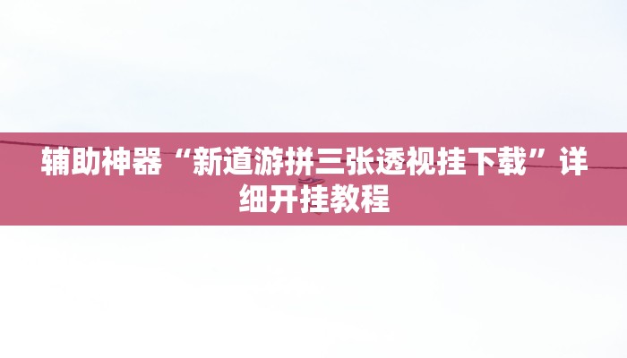 辅助神器“新道游拼三张透视挂下载”详细开挂教程